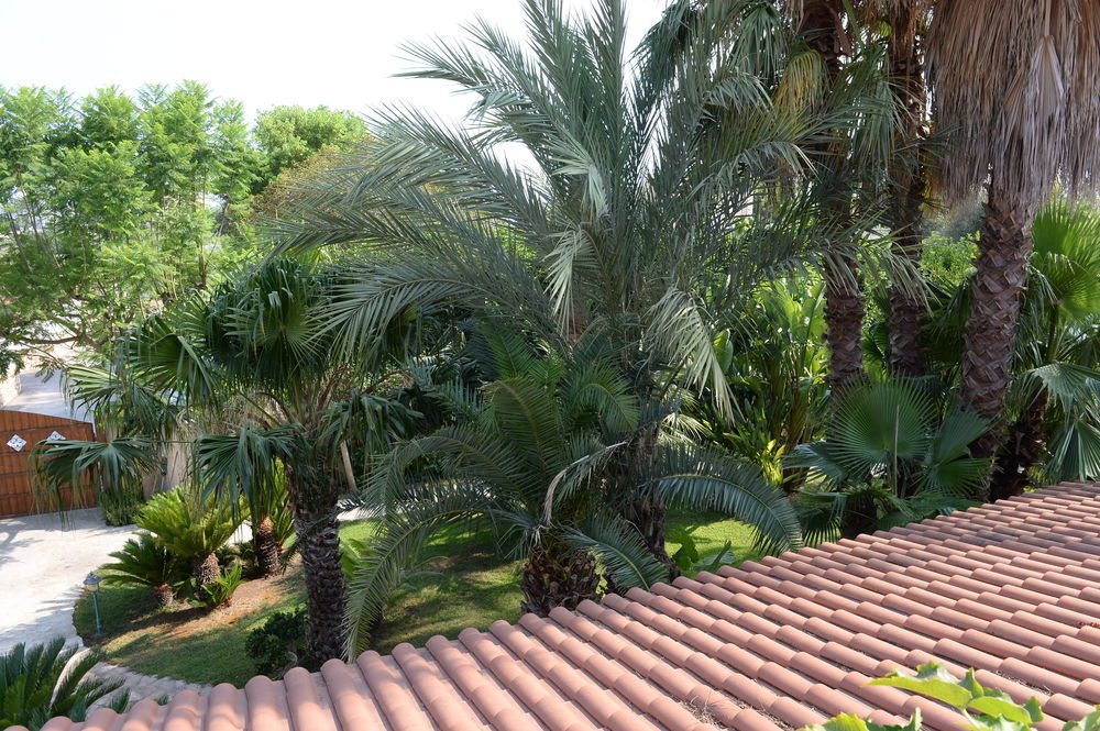 Bed and Breakfast Il Giardino Delle Jacaranda Talsano Zewnętrze zdjęcie